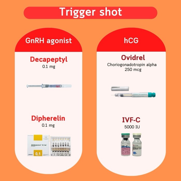 Injections de déclenchement — agonistes de la GnRH (Decapeptyl, Diphereline) et hCG (Ovidrel, IVF-C)