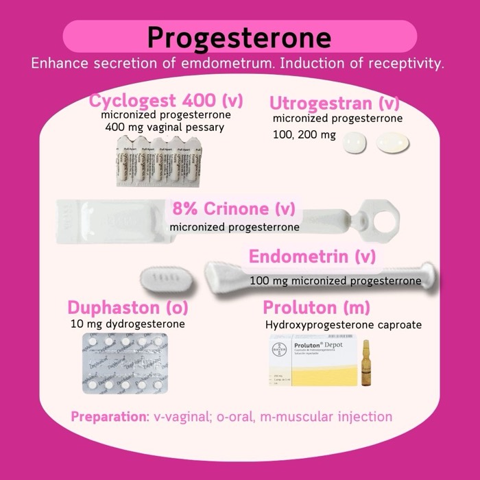 Progestatifs pour la préparation et le soutien de l'endomètre — Cyclogest, Utrogestran, Endometrin, Crinone, Duphaston, Proluton